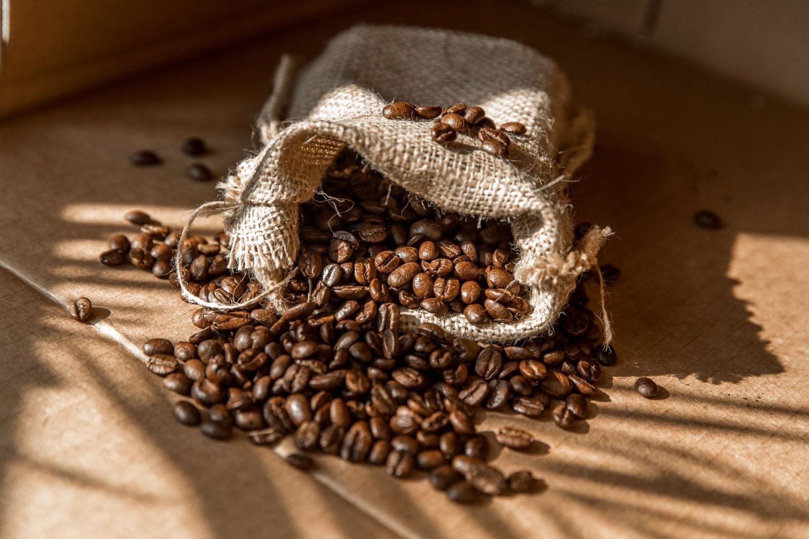 Roasted coffee beans spilling from a burlap sack in warm natural light.
