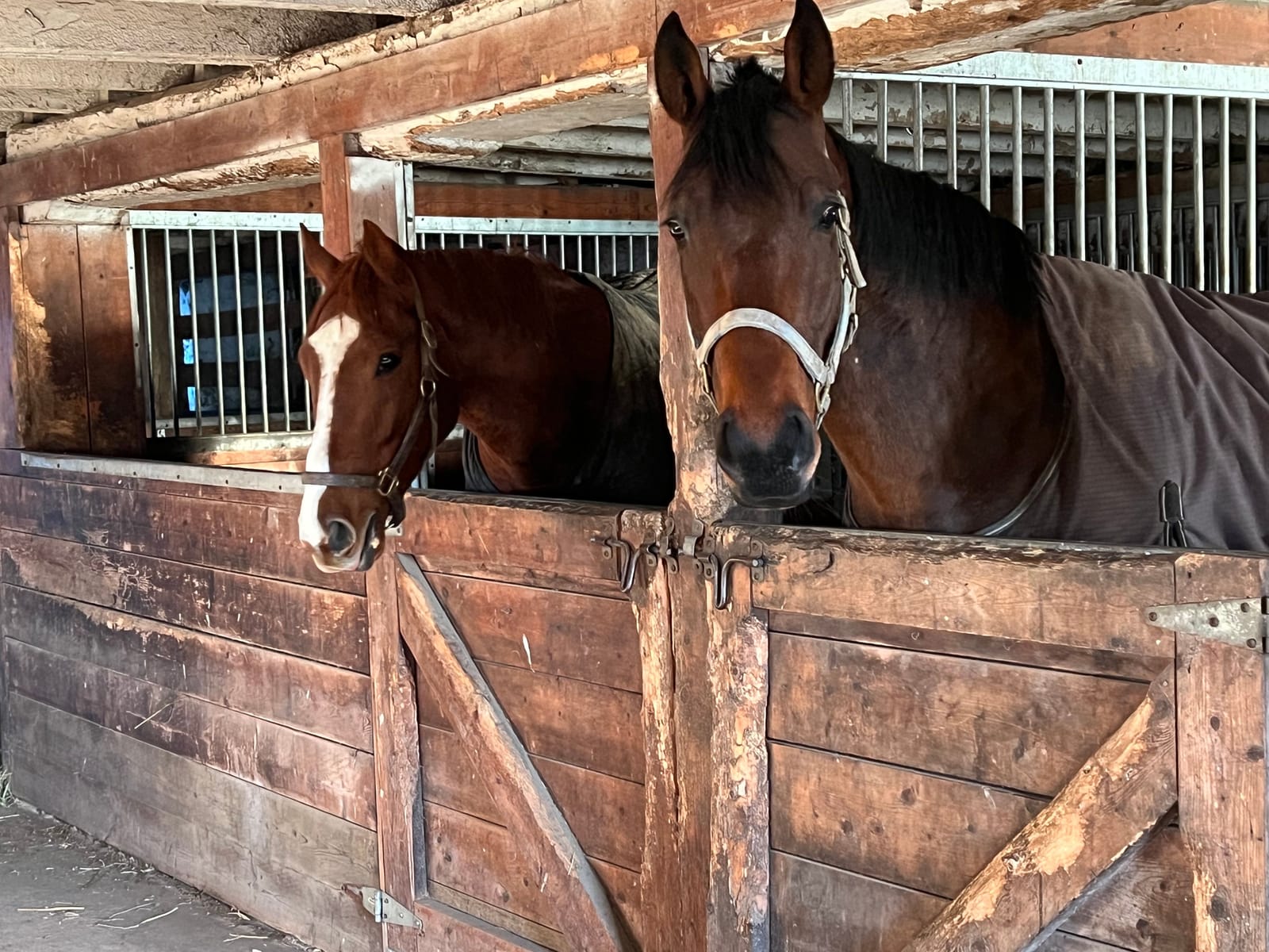 Cathcart Bristow Racing Stables