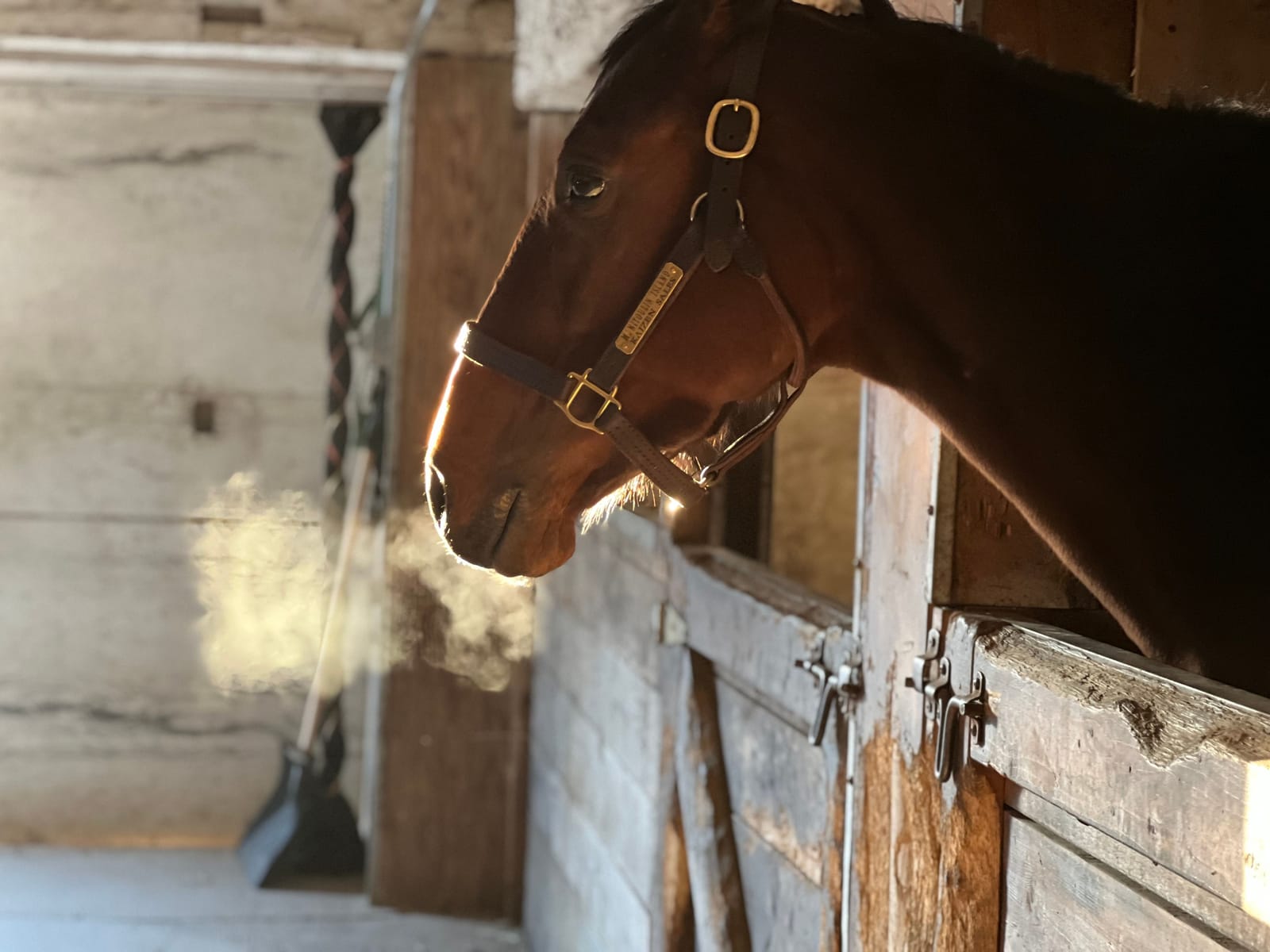 Cathcart Bristow Racing Stables