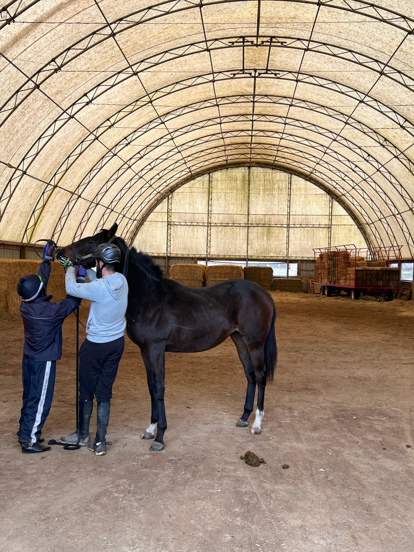 Cathcart Bristow Racing Stables